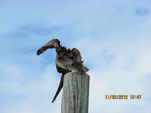IMG_0399