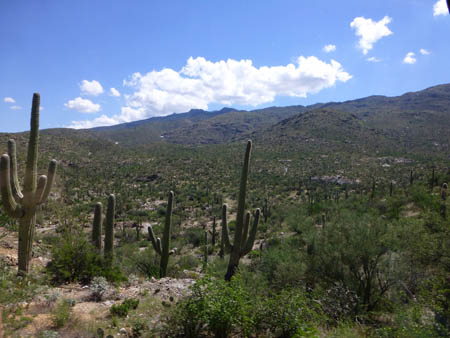 L1000249