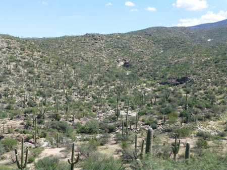 L1000251