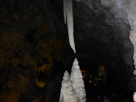 L1000534